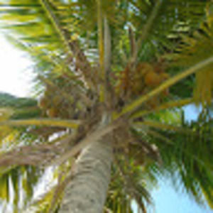 Meet your Posher, Kaja